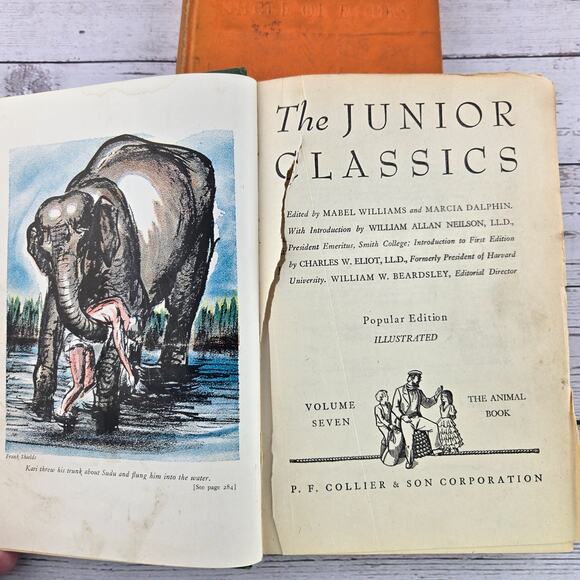 Vtg Collier's Junior Classics Volumes 6,7,8 and 9 Set of 4 - Picture 9 of 12